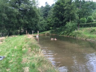 Sint-Martinus den XIIde - Kamp Bourseigne-Neuve WK